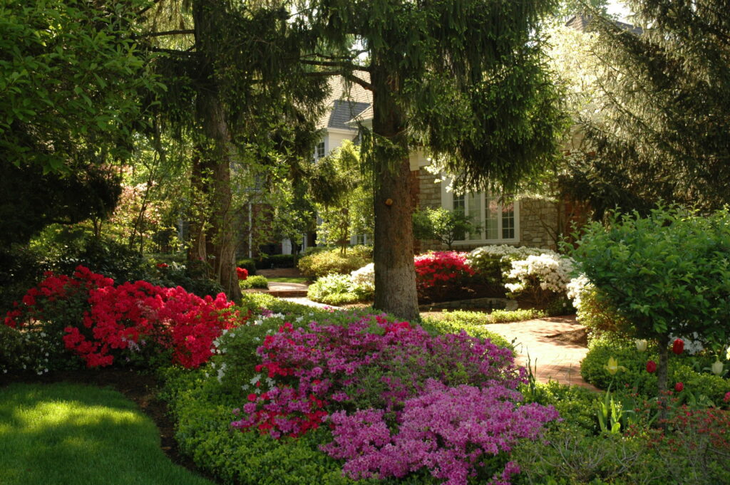 About Action Landscape