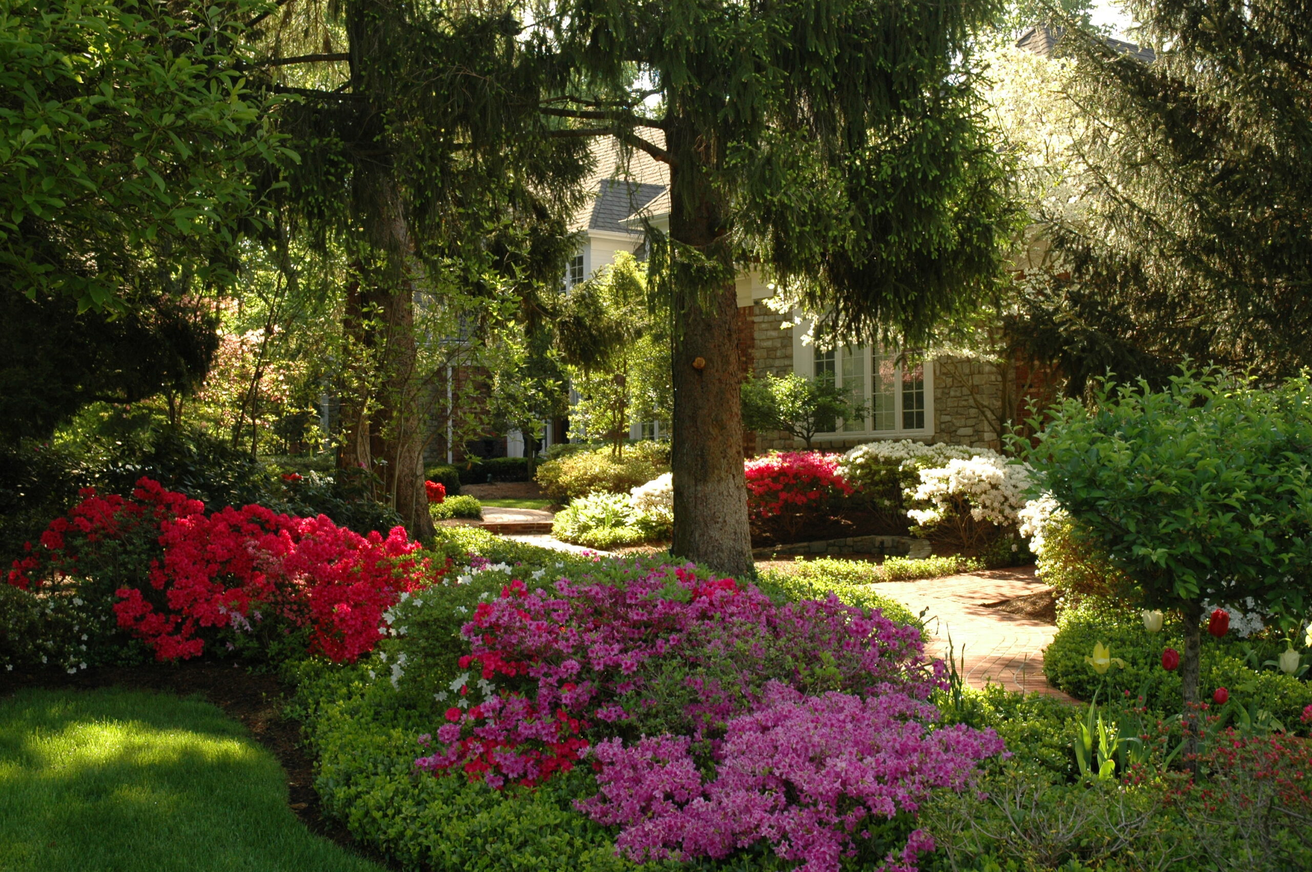 About Action Landscape